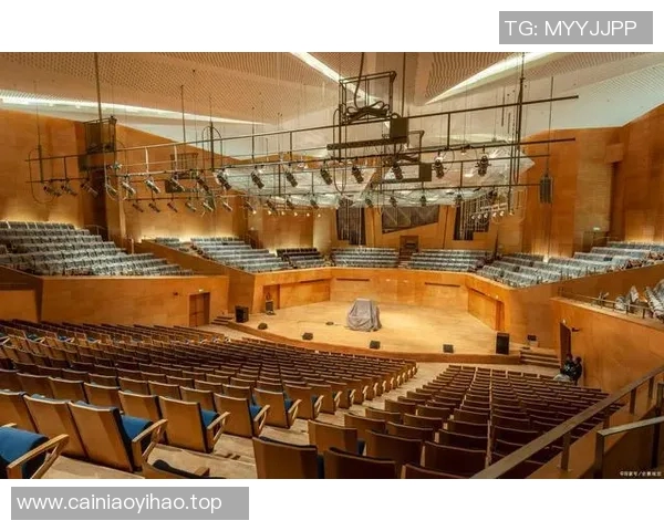 足球场建筑设计中的声学原理与观众体验优化